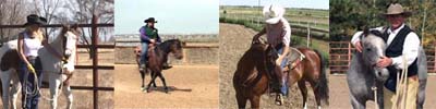 Horse Training Videos