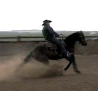 Horse Trainer Chuck Nesmith Sliding Stops Horse Trainer Chuck Nesmith Sliding Stops