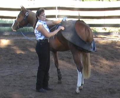 Horse Trainer Diana Quintana Horse Trainer Diana Quintana