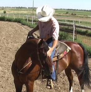 Horse Trainer J.J. Rydberg Horse Trainer J.J. Rydberg