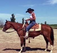 Professional Trainer Sue Robertson Professional Trainer Sue Robertson