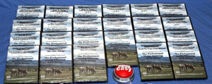 Horse Videos