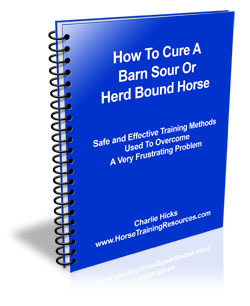 How To Cure A Herd Bound Horse