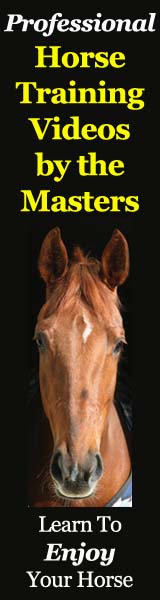 Click here for Professional Horse Training Videos