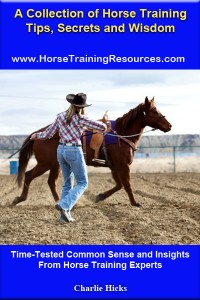 Horse Books