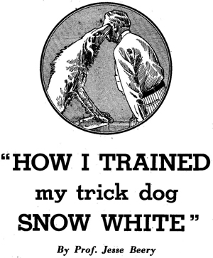 Dog Training Tips - Jesse Beery Dog Training Tips - Jesse Beery