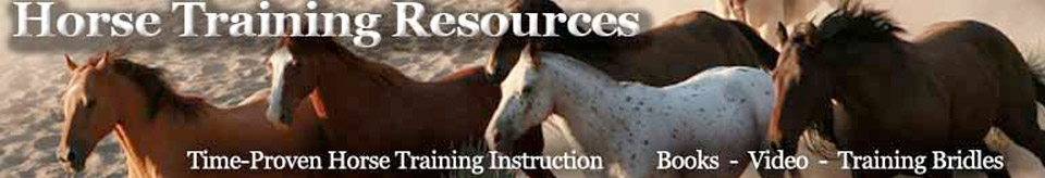Horse Training Resources – Horse Riding and Training Horse Training Resources – Horse Riding and Training