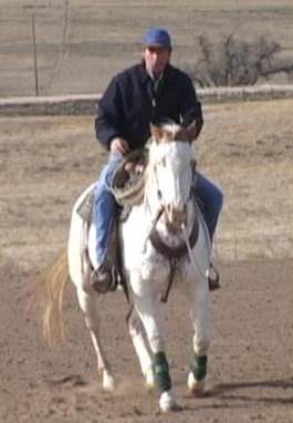 Horseback Riding - Learn To Rein, Turn and Bend Horseback Riding - Learn To Rein, Turn and Bend