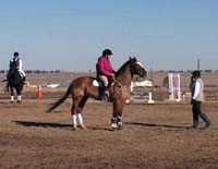 Using Dressage Techniques To Better Your Horse