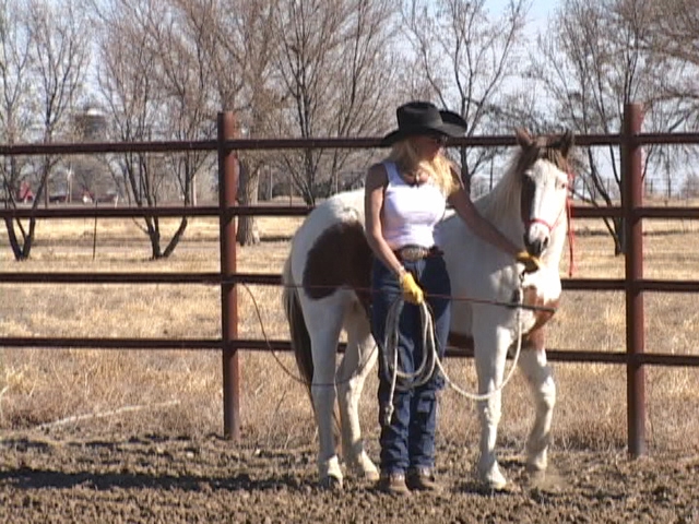 Sue Robertson DVD pic for label