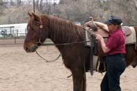 Vickie 5 Reins 200w