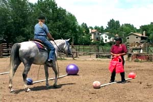 Vickie Weigel Training Professional