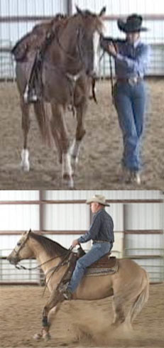 How To Teach Your Horse Reining