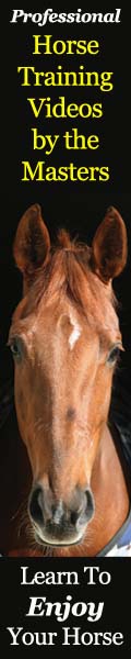Professional Horse Training Videos Professional Horse Training Videos
