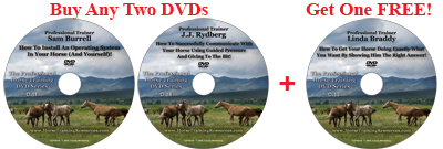 Buy Any 2 DVDS and Get 1 FREE!