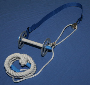 The New Beery Pulley Bridle