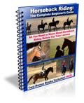 Horseback Riding Lessons